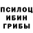 Псилоцибиновые грибы Psilocybine cubensis Max Konoplienko