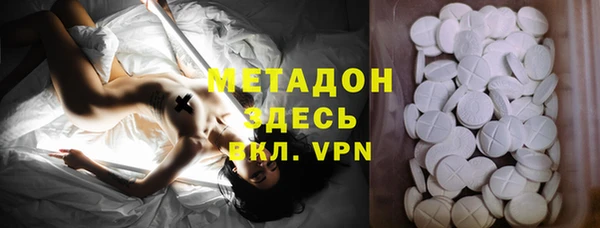 индика Алексин