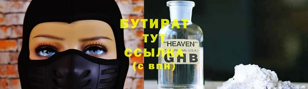 индика Алексин