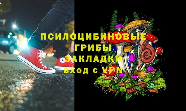 индика Алексин