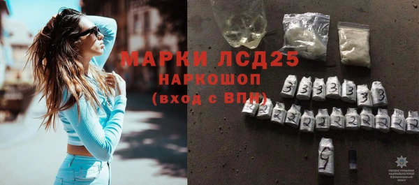 индика Алексин