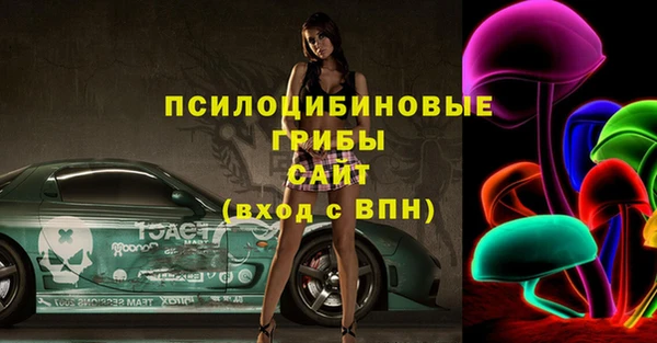 индика Алексин