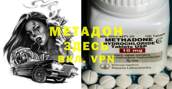 индика Алексин