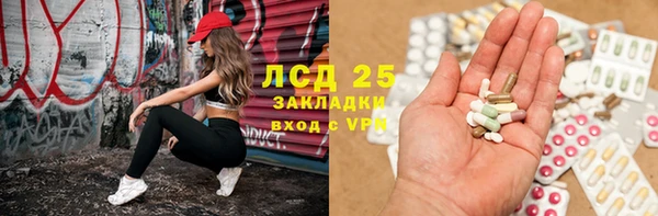индика Алексин