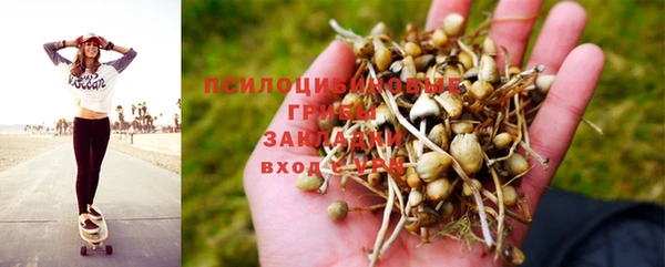 индика Алексин